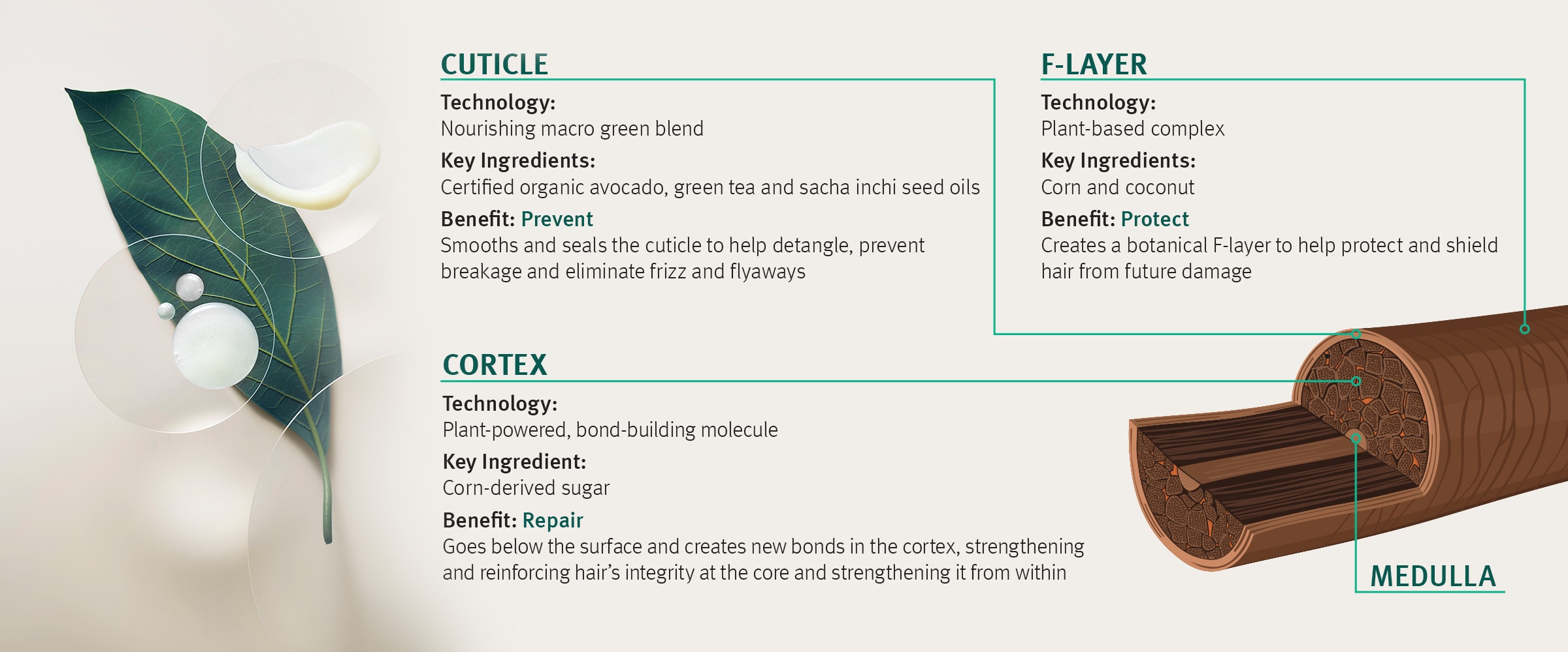 Botanical Repair​ - Three Layer Technology