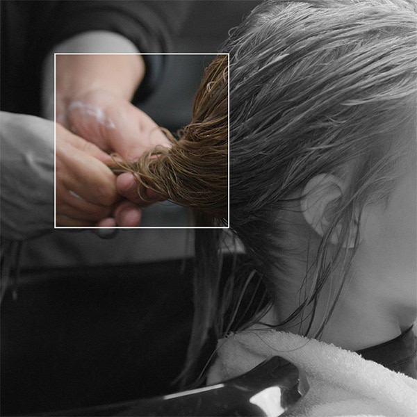 Book an Aveda professional treatment service today.